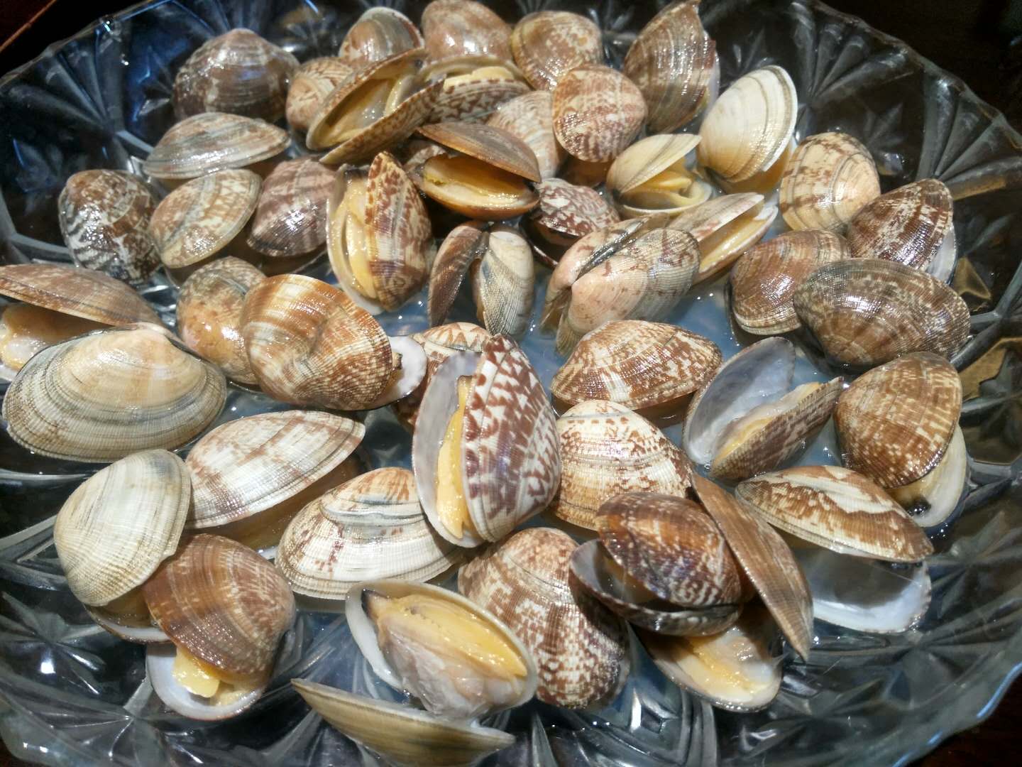 Image of fresh export quality clams